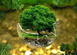 Medioambiente