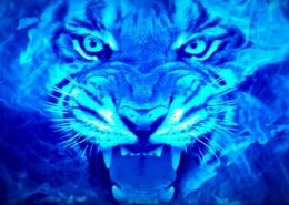 Tigre-Fuego