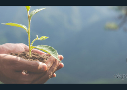 cómo-atraer-prosperidad-abundancia-y-todo-lo-bueno-a-tu-vida